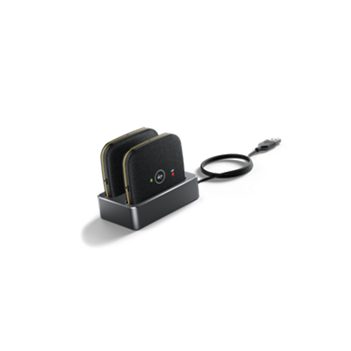CPW65 Extended Mic